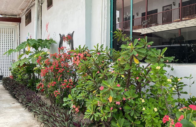 Fox Homestay - Photo 78