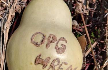 Ruralna kuća za odmor Pozojova hiža - Rural Holiday House - Foto 38