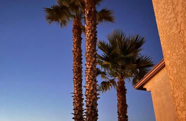 Appartement Yucca au calme proche de la mer - Foto 16