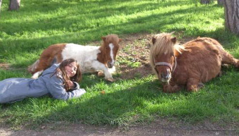 Domaine du Bas Chalus - Foto 5, young children