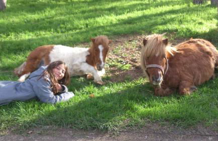 Domaine du Bas Chalus - Foto 5