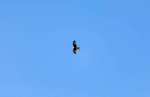 Casetta Tartuchino - Foto 7