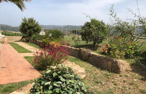 Agriturismo Campesi casale tra le vigne - Photo 30