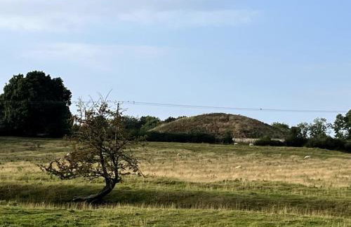 Fern Cottage - Foto 8