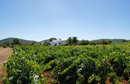 Agroturismo Sa Vinya d'en Palerm - Foto 126