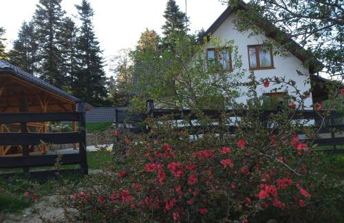 Dom na Krzemienicy - Foto 29