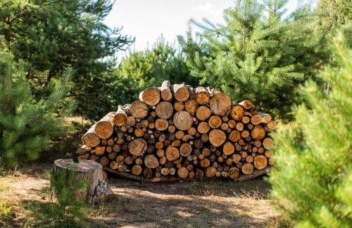 Powidzka Ostoja - Foto 18