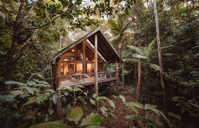 The Canopy Rainforest Treehouses and Wildlife Sanctuary - Foto 5