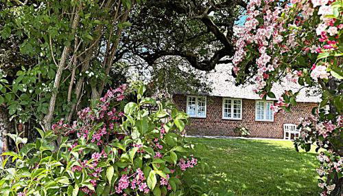 Haus Marschblick - Foto 2, Garden