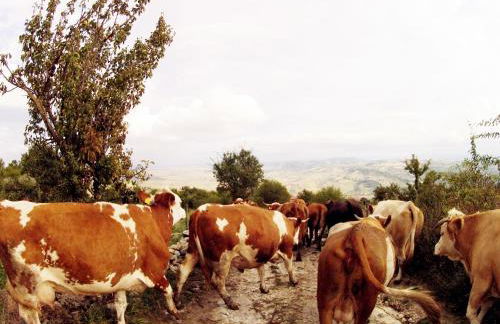 Aia di Lazzaro Agriturismo - Foto 40