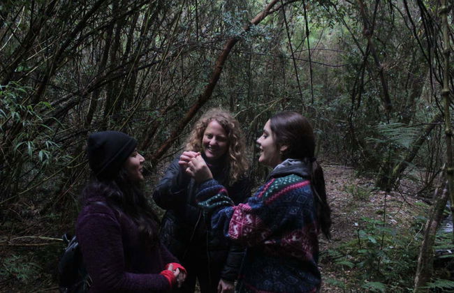 Senderos del Bosque Ecological Reserve Tour - Photo 6