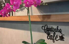 Internacional Residence Benjamin Vista mar - Foto 26