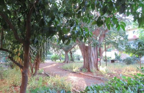 Relax nel verde- GioDaPi Palm - Foto 8