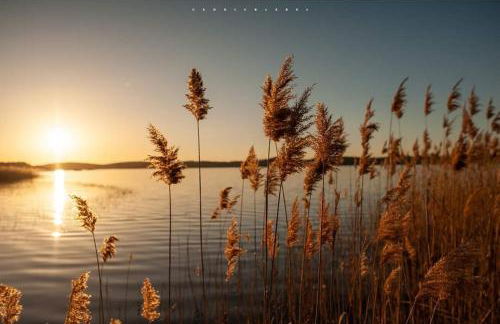 Appartement cosy au calme - Foto 7