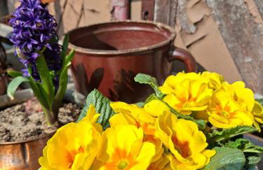 Agroturystyka Natura - Foto 3