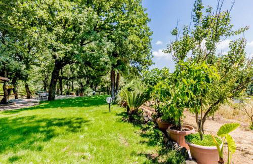 Country House di Campo Stivaletto Nepi - Foto 47