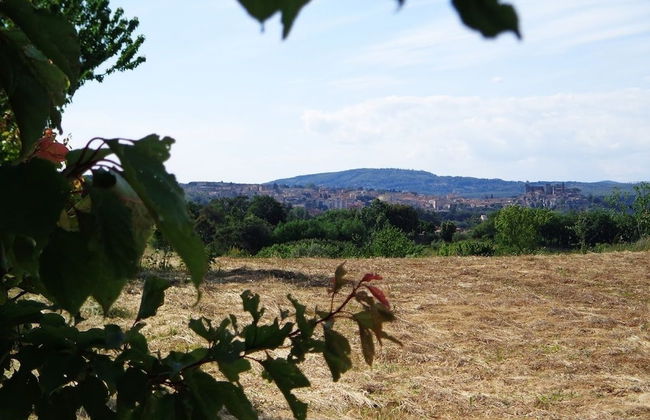 Agriturismo Fontelupo - Foto 17