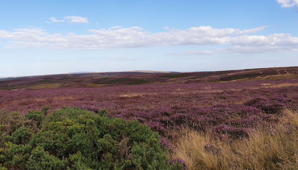 6m xl Bell Tent With log Burner, Near Whitby - Foto 5, Miscelánea