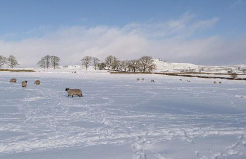 Wren Lodge - Foto 27