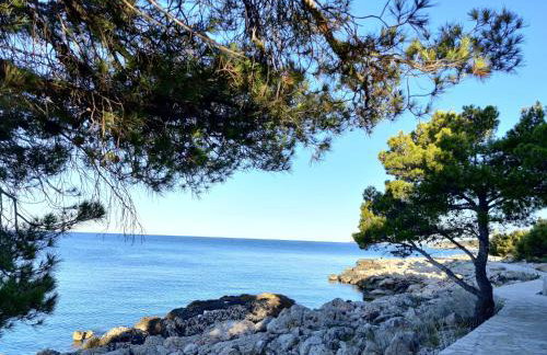 Apartments Galeb - Photo 54