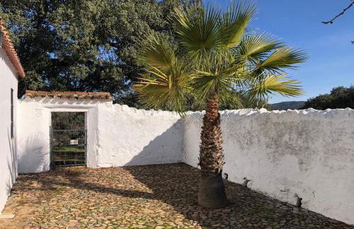 Finca La Vicaria ROMERO - Foto 17