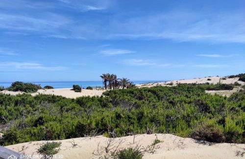 Pórtico Mediterráneo - Foto 34