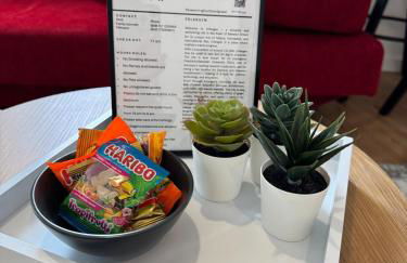 1-Zimmer Apartment, Zentraler Lage - Foto 9