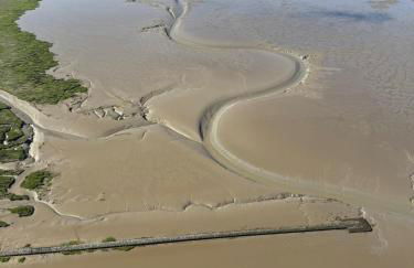 Ferienwohnung Deichblick - Nordseeurlaub in hochwertiger 140qm FeWo mit Garten im idyllischen Butjadingen - Foto 47