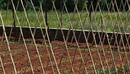 Apartman Biba - Foto 2