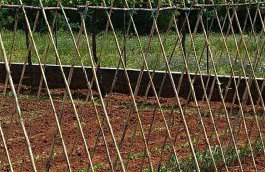 Apartman Biba - Foto 2