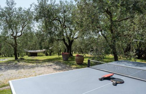 Le Cerbaie - Casa Vacanze - Foto 57