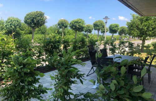 Meeresrauschen - Foto 16