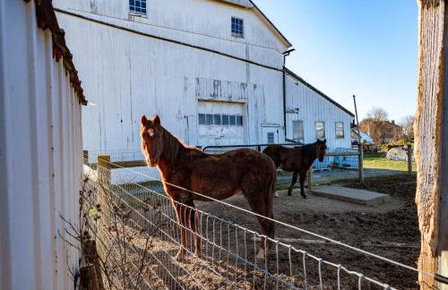 Very Cozy, 2 Bedroom Farmhouse Apartment 2nd FL - Foto 39