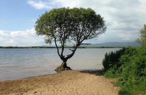 Kenfig Farm - Foto 33