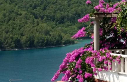 Villa Luma Apartments - Foto 9