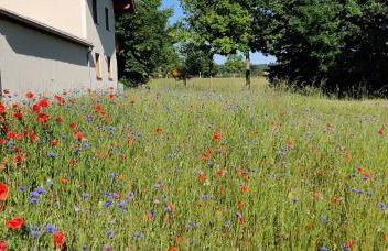 Ferienwohnung Ponlach - Foto 11