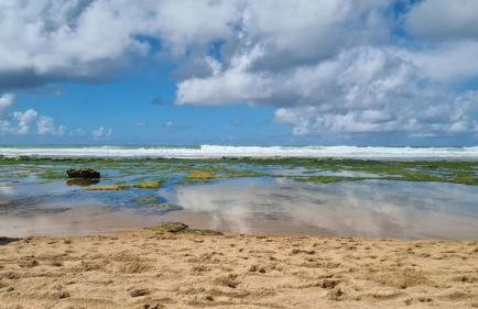Apartamento de descanso com a brisa do Mar! - Foto 2