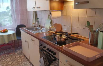 Kienreich Apartments Merseburg Weißenfelser Straße - Foto 21