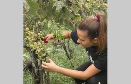 Nike house - Foto 44