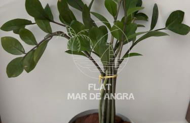 Flat Mar de Angra - Praia Grande - 2 Suítes com cobertura Duplex - Foto 59