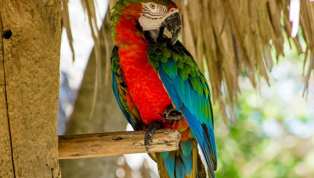 Escursione a Scape Park - Foto 3