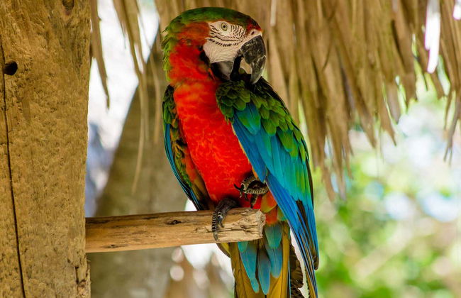 Excursión a Scape Park - Foto 3