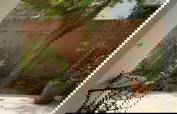 La bougain Villa - Photo 28