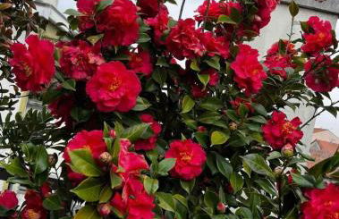 Giresio 41 - Your Penthouse with Rooftop Garden in Milano Navigli - WIFI - Foto 40