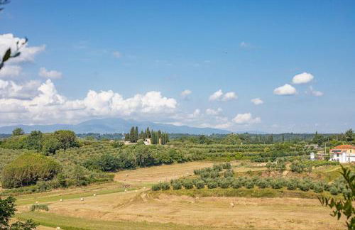 Fienile Cipresso, art of living Tuscany - Foto 18