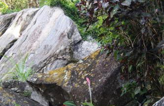 Paraiso de Angra Casa completa no condomio Marinas - Foto 35