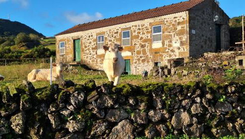 Adega do capitao - Foto 2