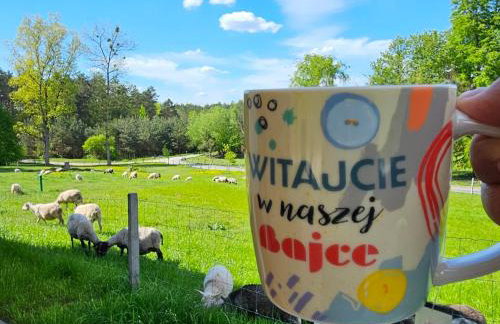 Agroturystyka Stara Huta - Domek Boho - Foto 19