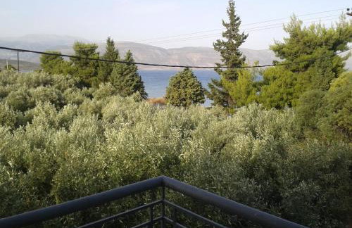 Elea Guesthouse - Photo 45