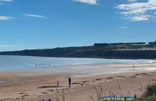 Lovely house & garden, short walk to town & beach. - Foto 54